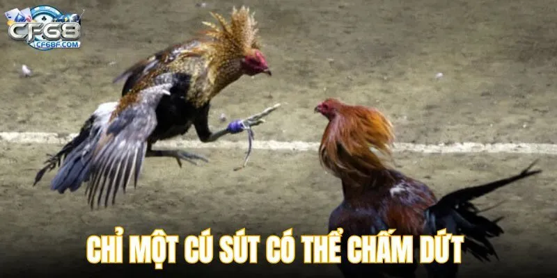 Chỉ một cú sút có thể khiến cuộc chiến chấm dứt