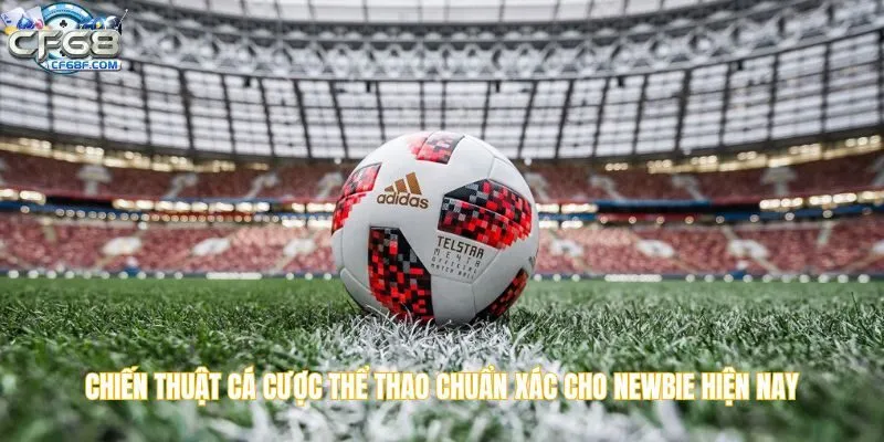 Chiến thuật cá cược thể thao chuẩn xác cho newbie hiện nay