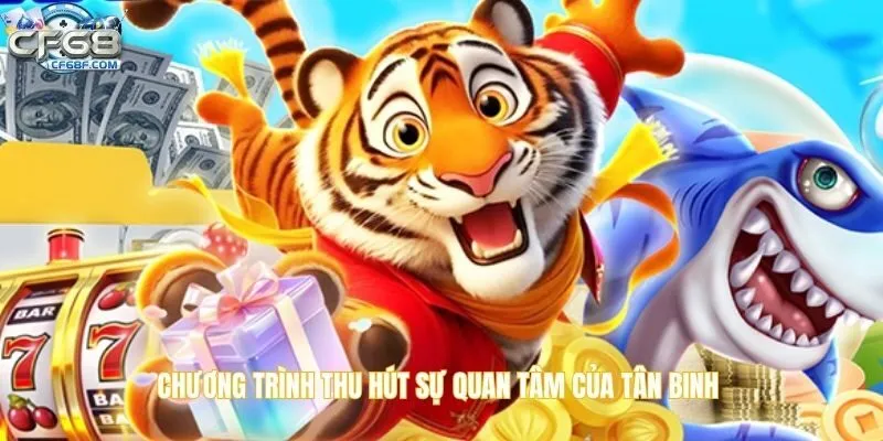Chương trình thu hút sự quan tâm của đông đảo tân binh CF68
