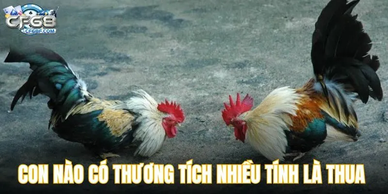 Con nào có thương tích nhiều hơn được tính là thua