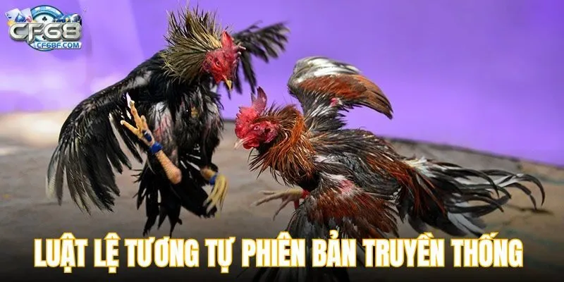 Đá gà cựa dao có luật lệ tương tự phiên bản truyền thống