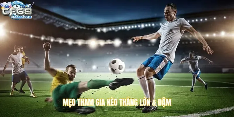 Mẹo tham gia luôn thắng lớn & đậm