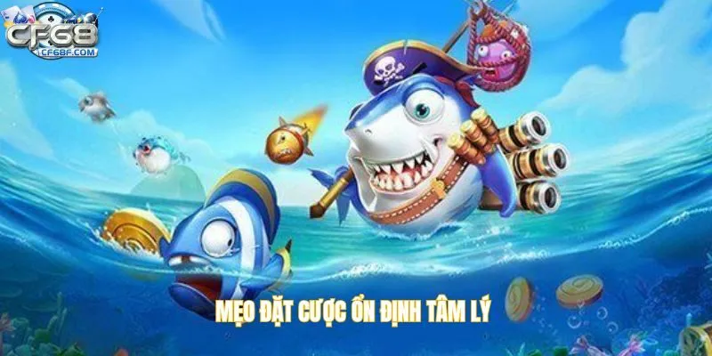 Mẹo đặt cược ổn định tâm lý 