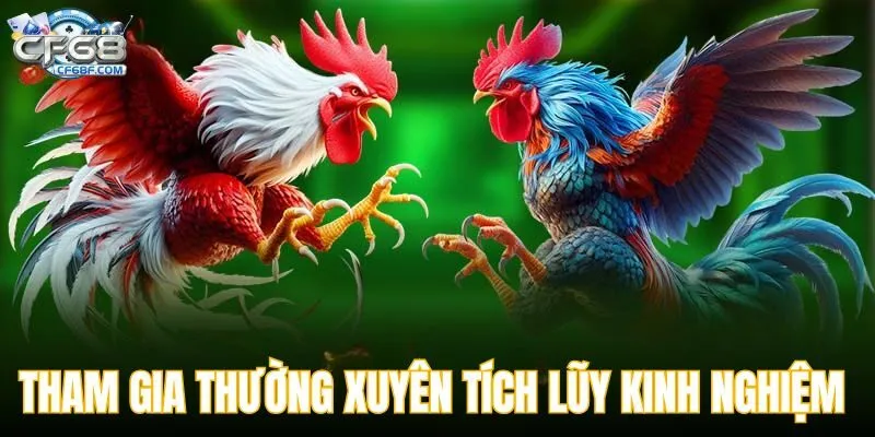 Tham gia thường xuyên tích lũy kinh nghiệm để chọn đúng