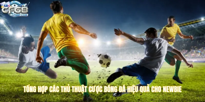 Tổng hợp các thủ thuật cược bóng đá hiệu quả cho newbie